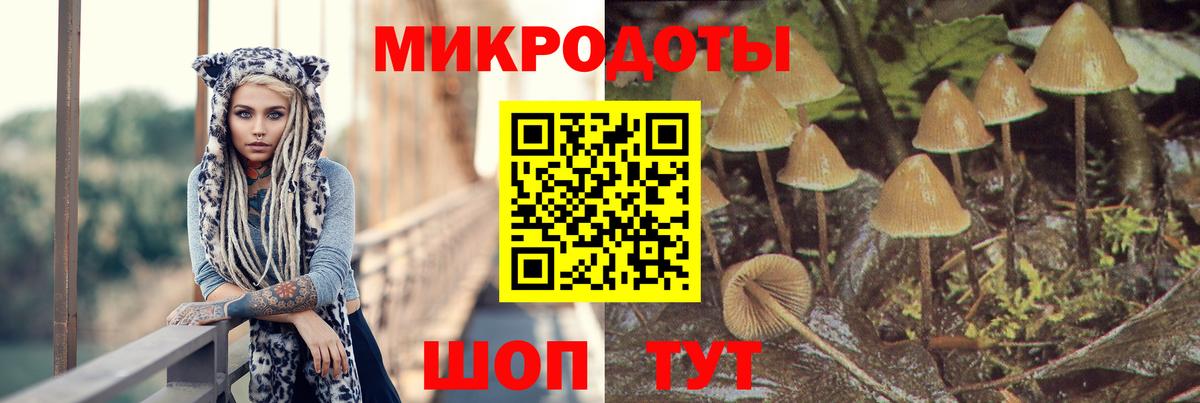 Галлюциногенные грибы Magic Shrooms Большой Камень