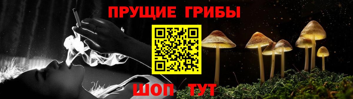 Псилоцибиновые грибы MAGIC MUSHROOMS  Вход с VPN  Большой Камень 